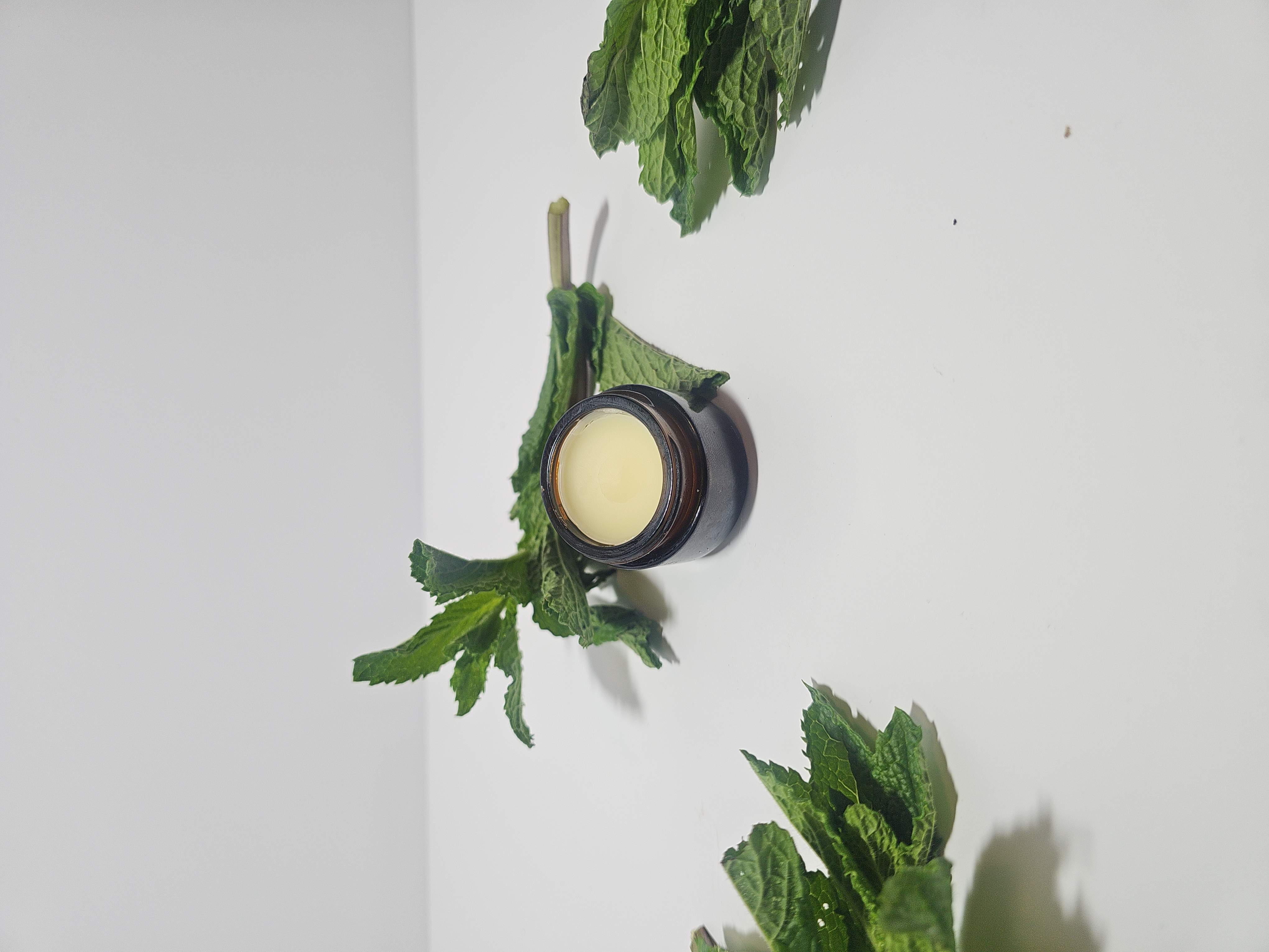 Minty - Lip Balm